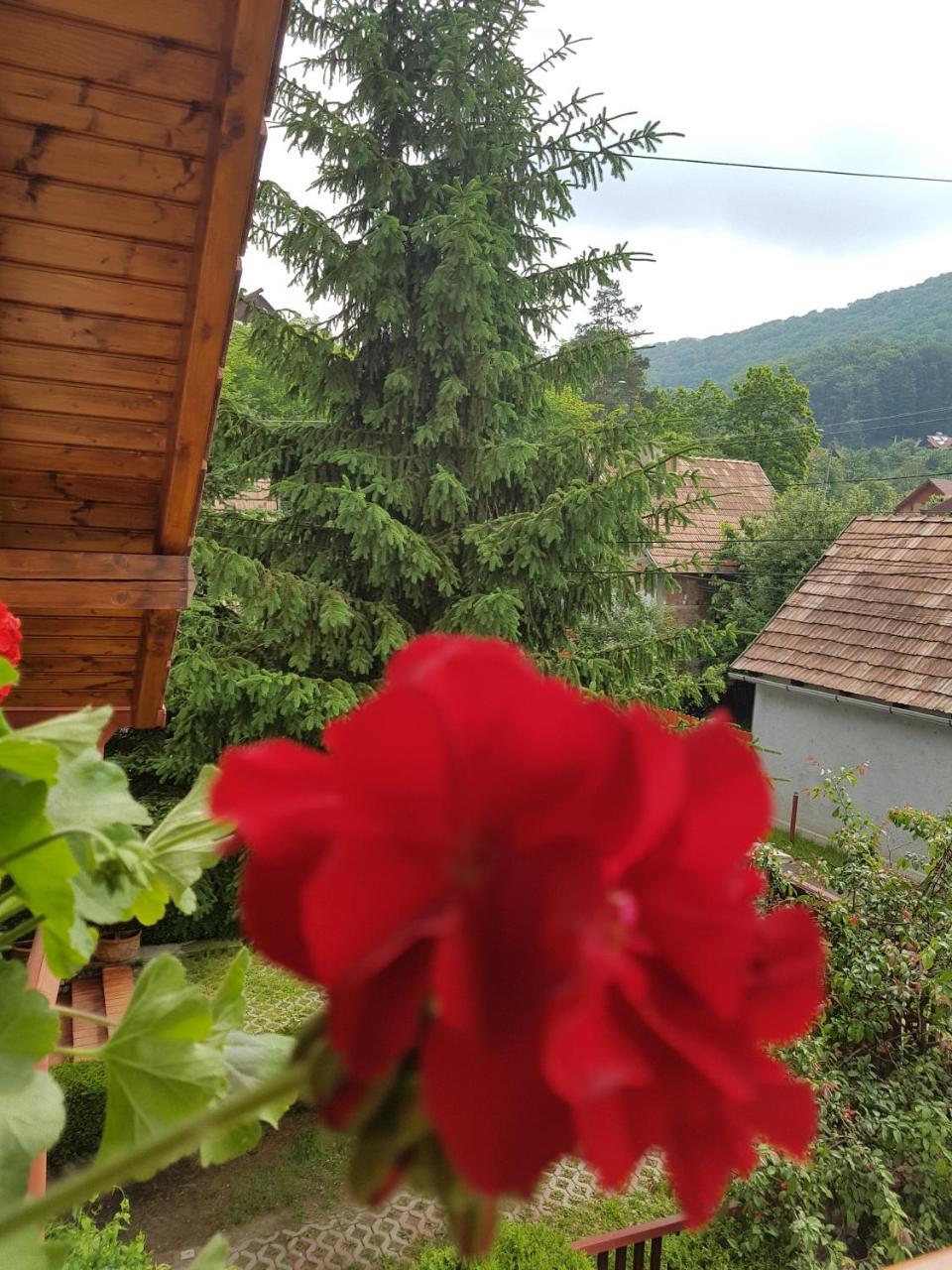 Pensiunea Lorincz *** Panzio Sovata Exteriér fotografie