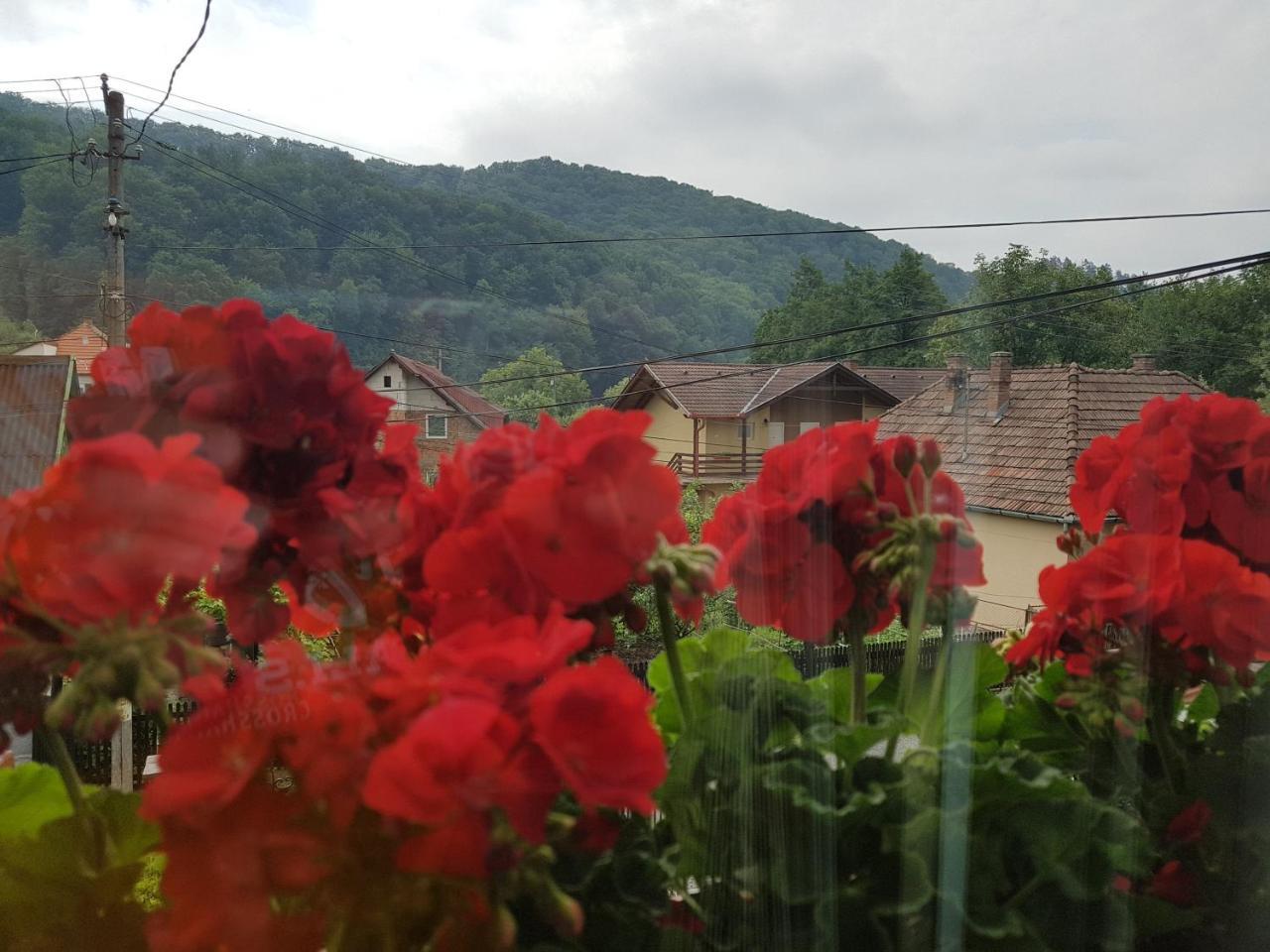 Pensiunea Lorincz *** Panzio Sovata Exteriér fotografie
